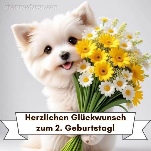 Glückwünsche zum 2 geburtstag whatsapp bild Blumenstrauß kostenlos