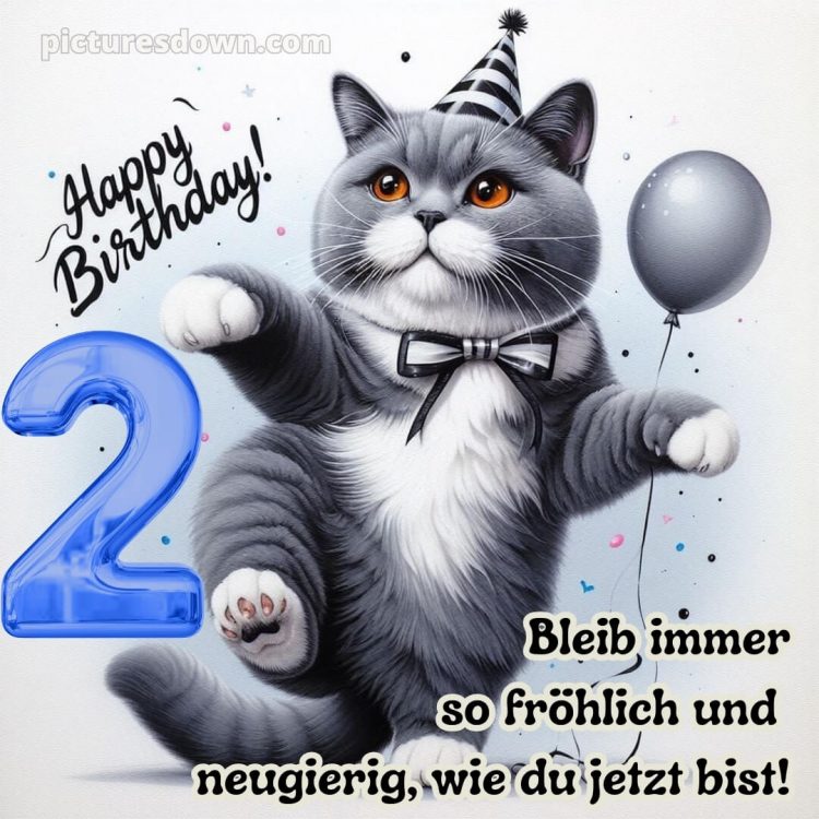 Glückwünsche zum 2 geburtstag whatsapp bild graue Katze kostenlos