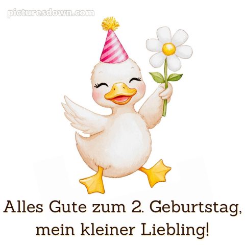 Glückwünsche zum 2 geburtstag whatsapp bild Gänseblümchen kostenlos