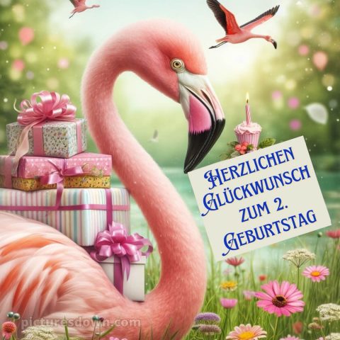 Glückwünsche zum 2 geburtstag whatsapp bild Flamingo kostenlos