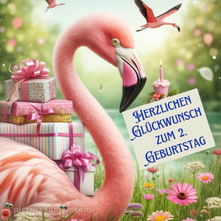 Glückwünsche zum 2 geburtstag whatsapp bild Flamingo kostenlos