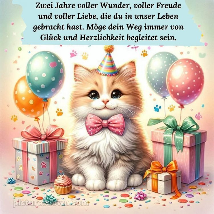 Glückwünsche zum 2 geburtstag whatsapp bild Katze kostenlos