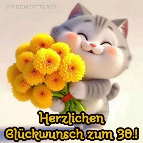 Glückwünsche zum 30. geburtstag whatsapp bild Kätzchen kostenlos