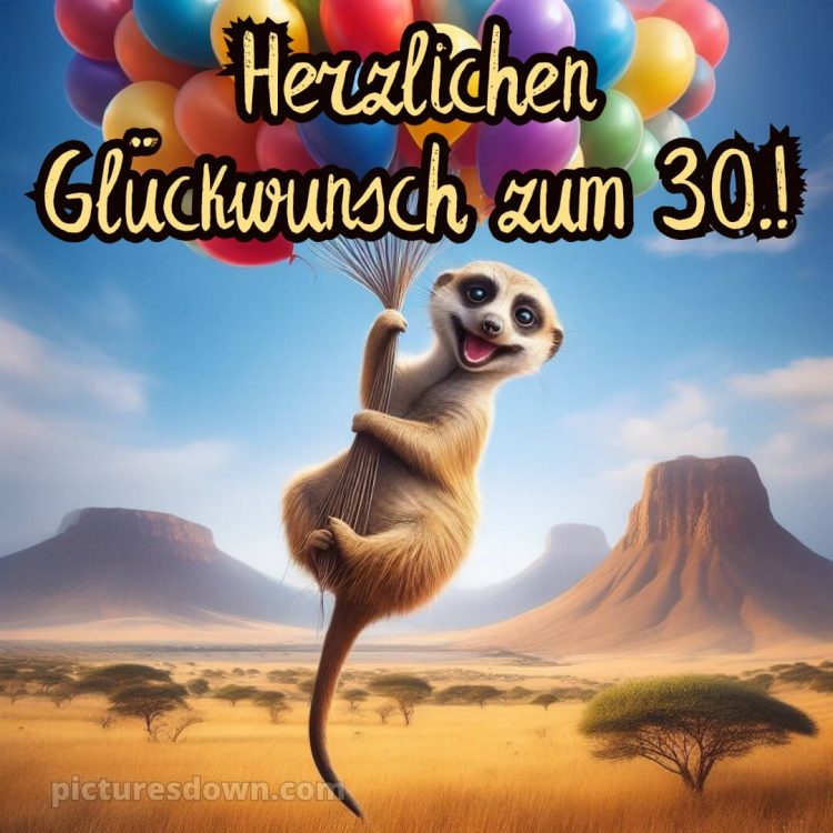 Glückwünsche zum 30. geburtstag whatsapp bild Himmel kostenlos