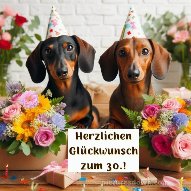 Glückwünsche zum 30. geburtstag whatsapp bild Dackel kostenlos