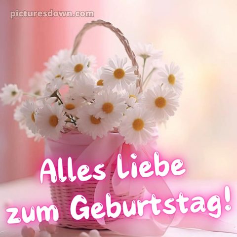 Glückwünsche zum geburtstag whatsapp kostenlos bild Gänseblümchen kostenlos