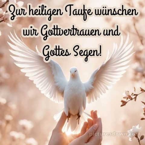 Glückwünsche zur Taufe an die Eltern bild Taube kostenlos