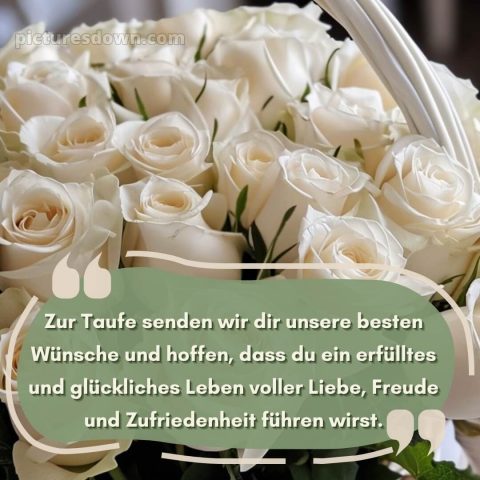 Glückwünsche zur Taufe locker bild Rosen kostenlos