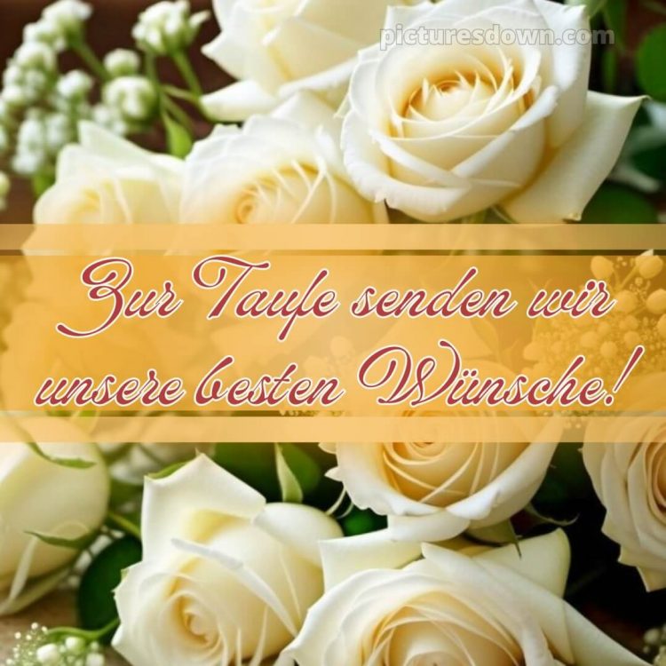 Glückwünsche zur Taufe locker bild weiße Rosen kostenlos