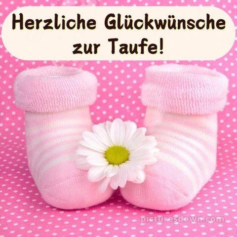 Glückwünsche zur Taufe Mädchen bild Gänseblümchen kostenlos