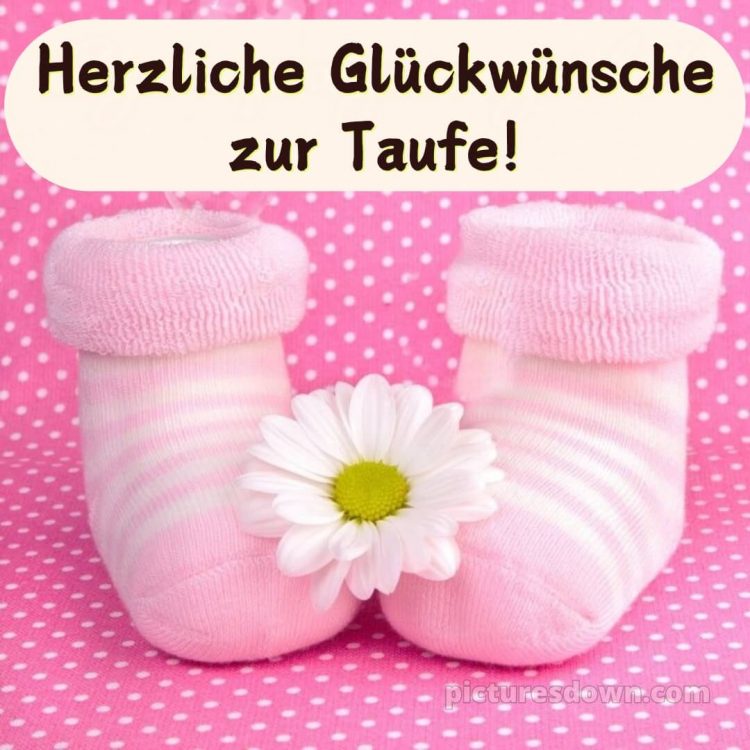 Glückwünsche zur Taufe Mädchen bild Gänseblümchen kostenlos