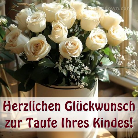 Glückwünsche zur Taufe modern bild Rosen kostenlos