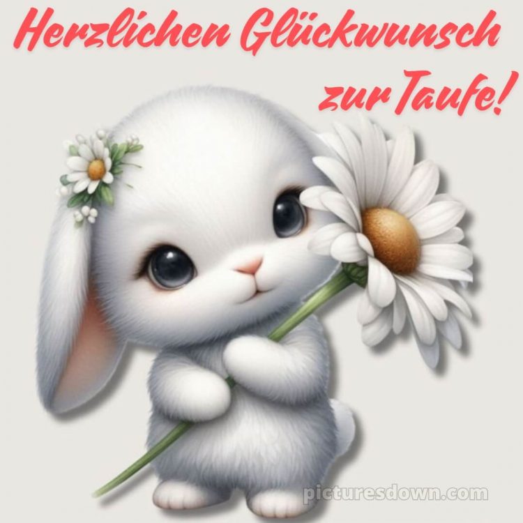 Glückwünsche zur Taufe modern bild Hase kostenlos