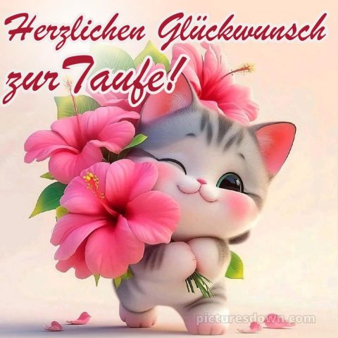 Glückwünsche zur Taufe modern bild Kätzchen kostenlos