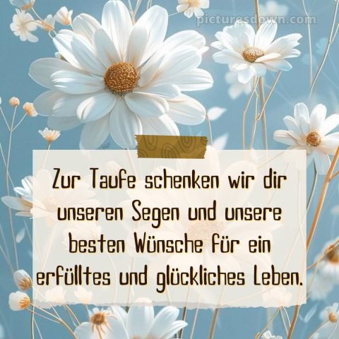 Glückwünsche zur Taufe modern bild Gänseblümchen kostenlos