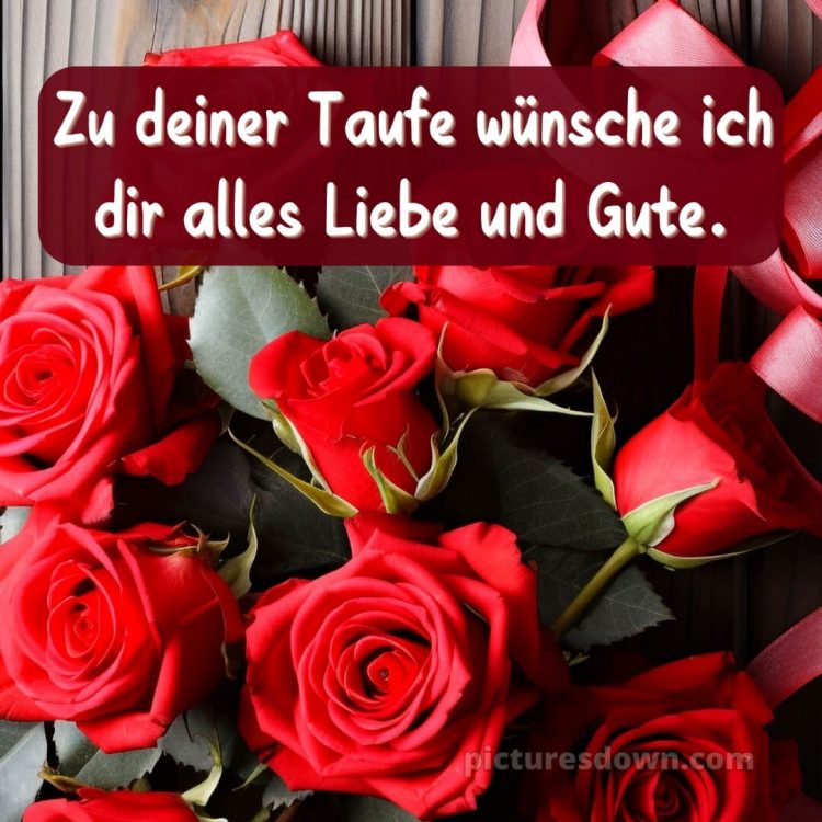 Glückwünsche zur Taufe modern kurz bild rote Rosen kostenlos