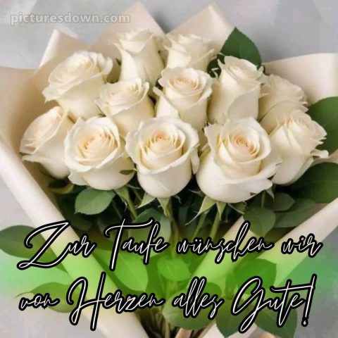 Glückwünsche zur Taufe nicht religiös bild weiße Rosen kostenlos