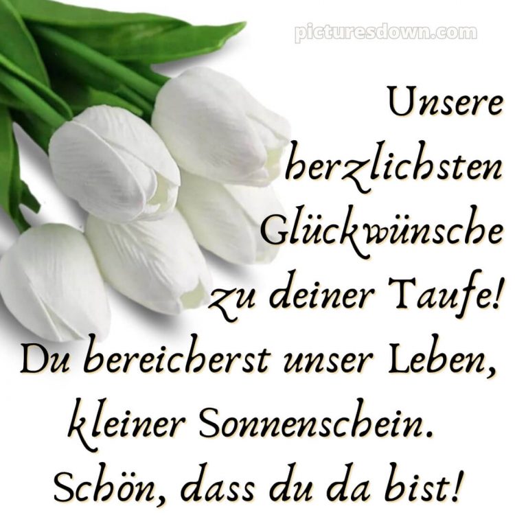 Glückwünsche zur Taufe nicht religiös bild Tulpen kostenlos