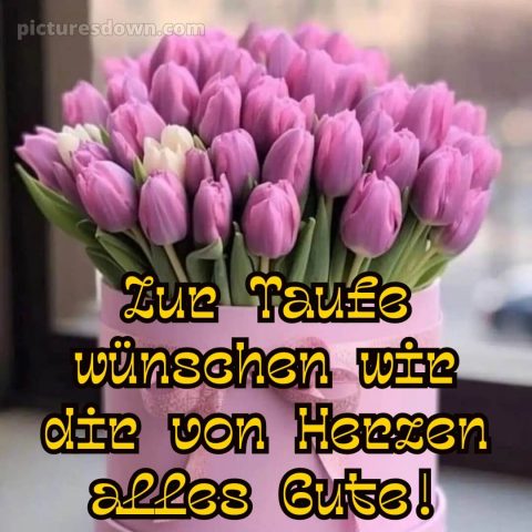 Glückwünsche zur Taufe nicht religiös bild Strauß kostenlos