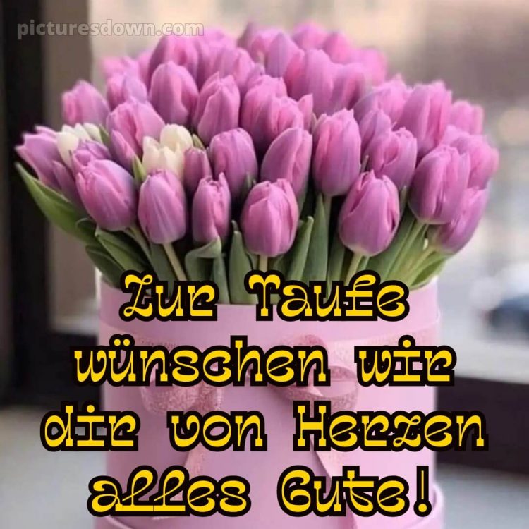 Glückwünsche zur Taufe nicht religiös bild Strauß kostenlos