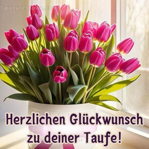 Glückwünsche zur Taufe nicht religiös bild rosa Tulpen kostenlos