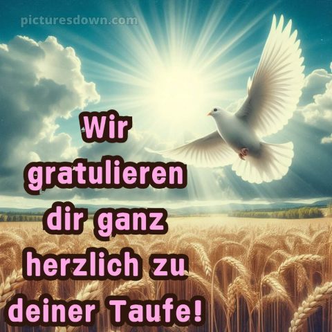 Glückwünsche zur Taufe von den Großeltern bild Taube kostenlos