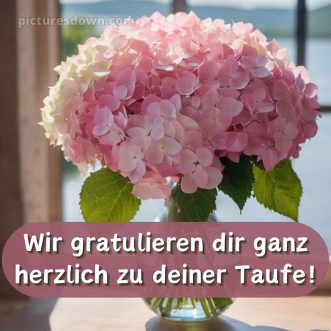 Glückwünsche zur Taufe von den Großeltern bild Hortensien kostenlos