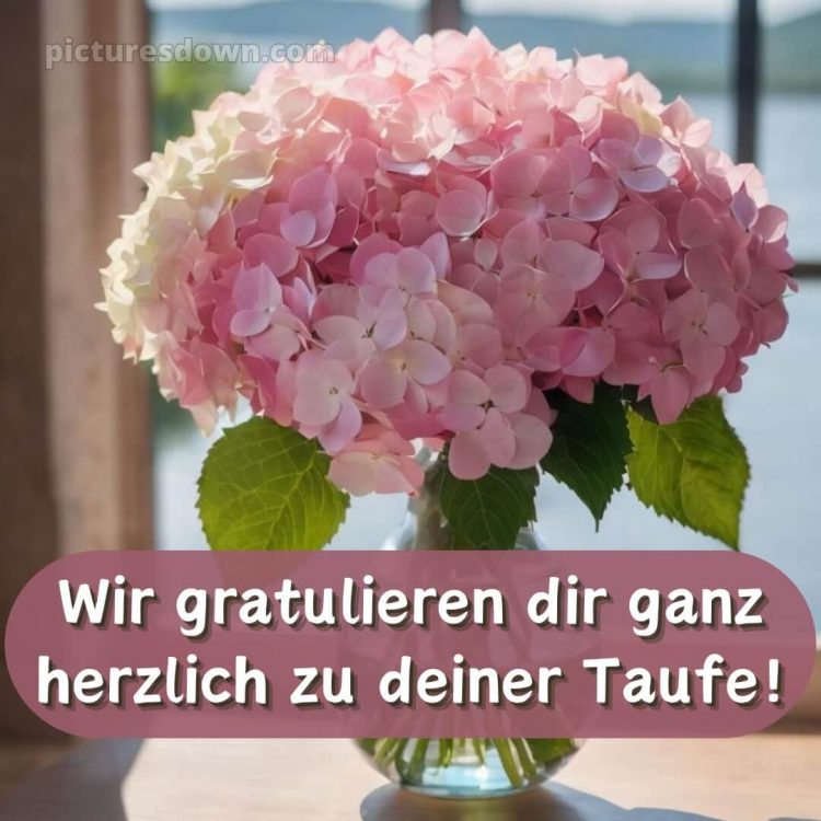 Glückwünsche zur Taufe von den Großeltern bild Hortensien kostenlos