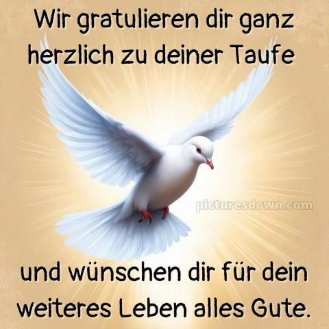 Glückwünsche zur Taufe von den Großeltern kostenlos bild Vogel kostenlos