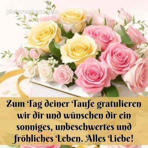 Glückwünsche zur Taufe von den Großeltern kostenlos bild Blumen kostenlos