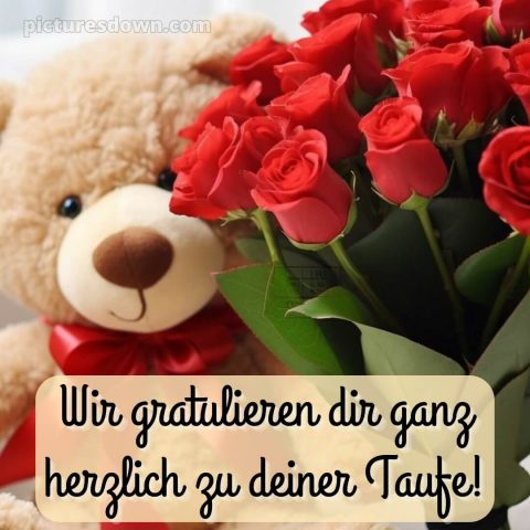 Glückwünsche zur Taufe von den Großeltern kostenlos bild Teddys kostenlos