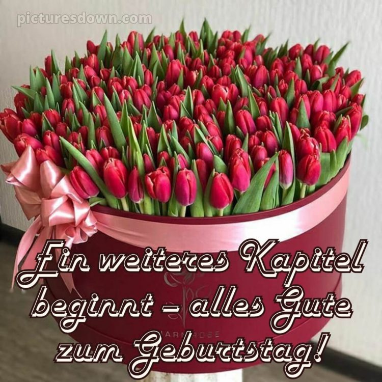 Moderne glückwünsche zum geburtstag whatsapp bild Tulpen kostenlos