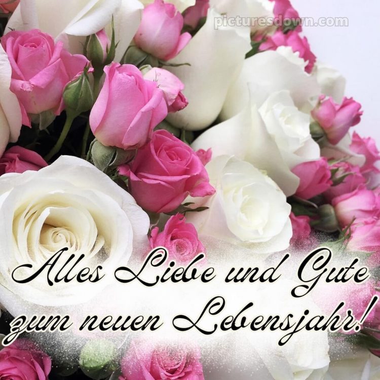 Moderne glückwünsche zum geburtstag whatsapp bild Blumen kostenlos