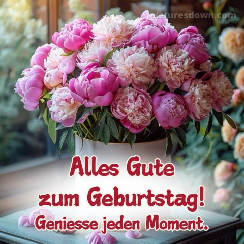 Moderne glückwünsche zum geburtstag whatsapp bild Pfingstrosen kostenlos