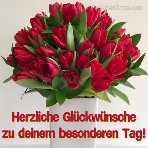 Moderne glückwünsche zum geburtstag whatsapp bild Blumenstrauß kostenlos