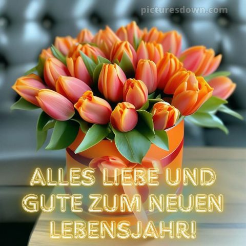 Moderne glückwünsche zum geburtstag whatsapp bild Strauß kostenlos