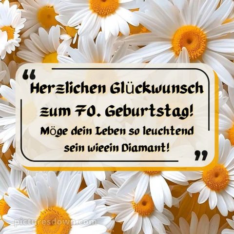 Whatsapp glückwünsche zum 70. geburtstag bild Gänseblümchen kostenlos