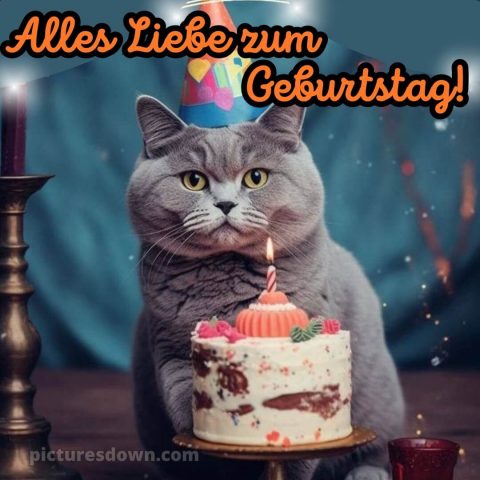 Whatsapp glückwünsche zum geburtstag frau bild Katze kostenlos
