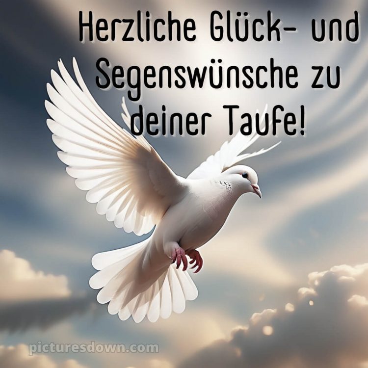 Wie schreibe ich Glückwünsche zur Taufe bild Taube kostenlos