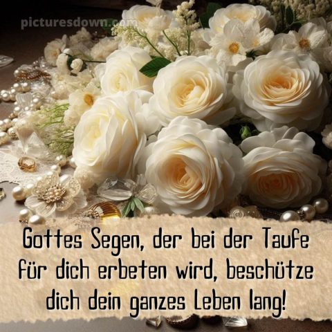 Zur Taufe Glückwünsche bild Blumen kostenlos