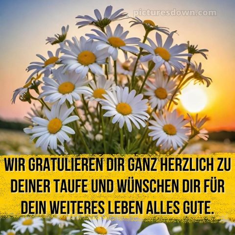 Zur Taufe Glückwünsche bild Gänseblümchen kostenlos