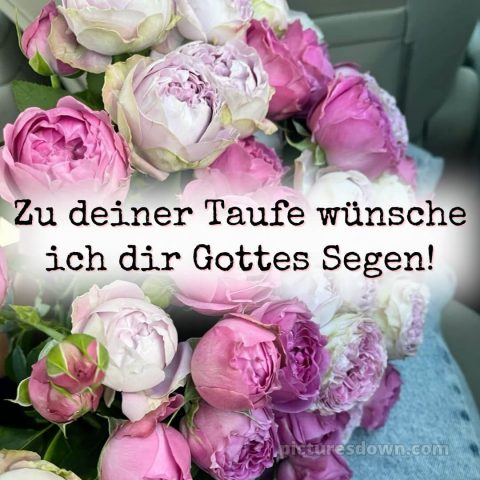 Zur Taufe Glückwünsche bild Pfingstrosen kostenlos