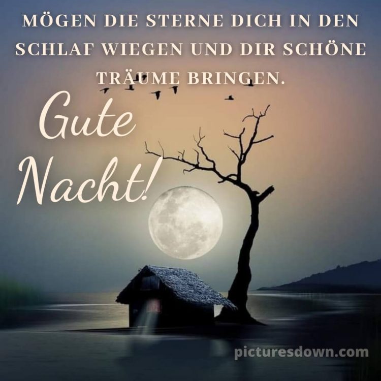 Außergewöhnliche gute nacht bilder bild Haus kostenlos