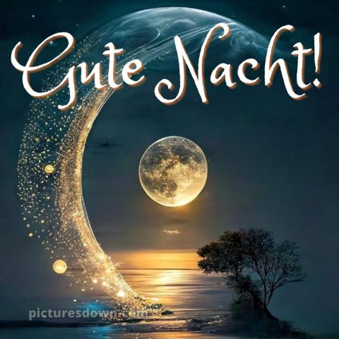 Außergewöhnliche gute nacht bilder bild Baum kostenlos