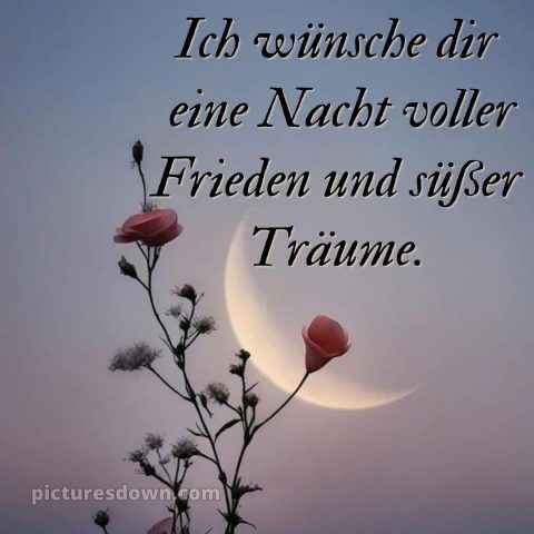 Außergewöhnliche gute nacht bilder bild Himmel kostenlos