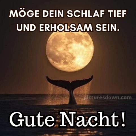 Außergewöhnliche gute nacht bilder bild Meer kostenlos