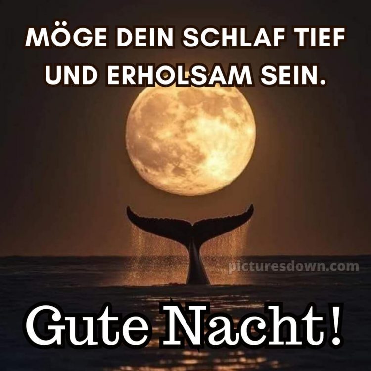 Außergewöhnliche gute nacht bilder bild Meer kostenlos