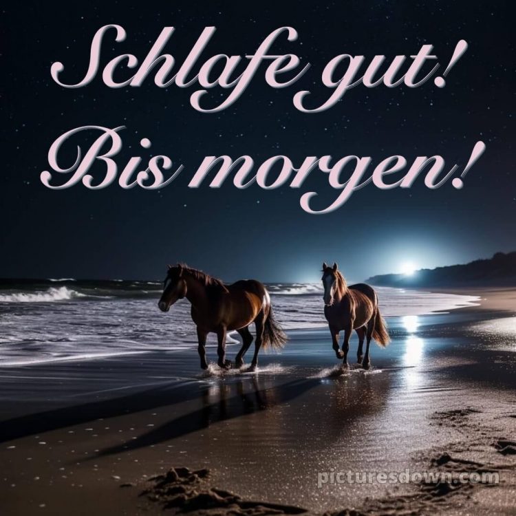 Außergewöhnliche gute nacht bilder bild Pferde kostenlos