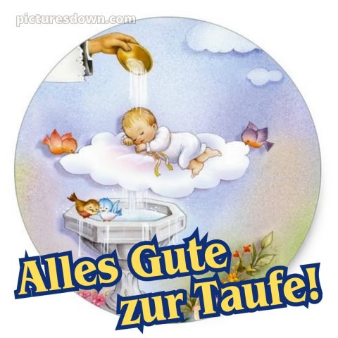 Glückwünsche von oma und opa zur taufe bild Vögel kostenlos