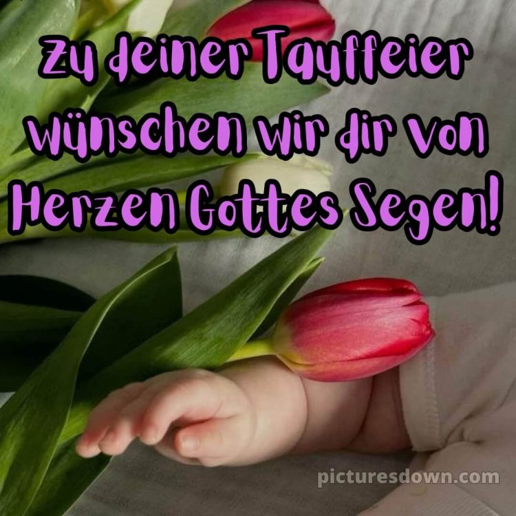 Glückwünsche zur taufe junge kurz bild Tulpen kostenlos